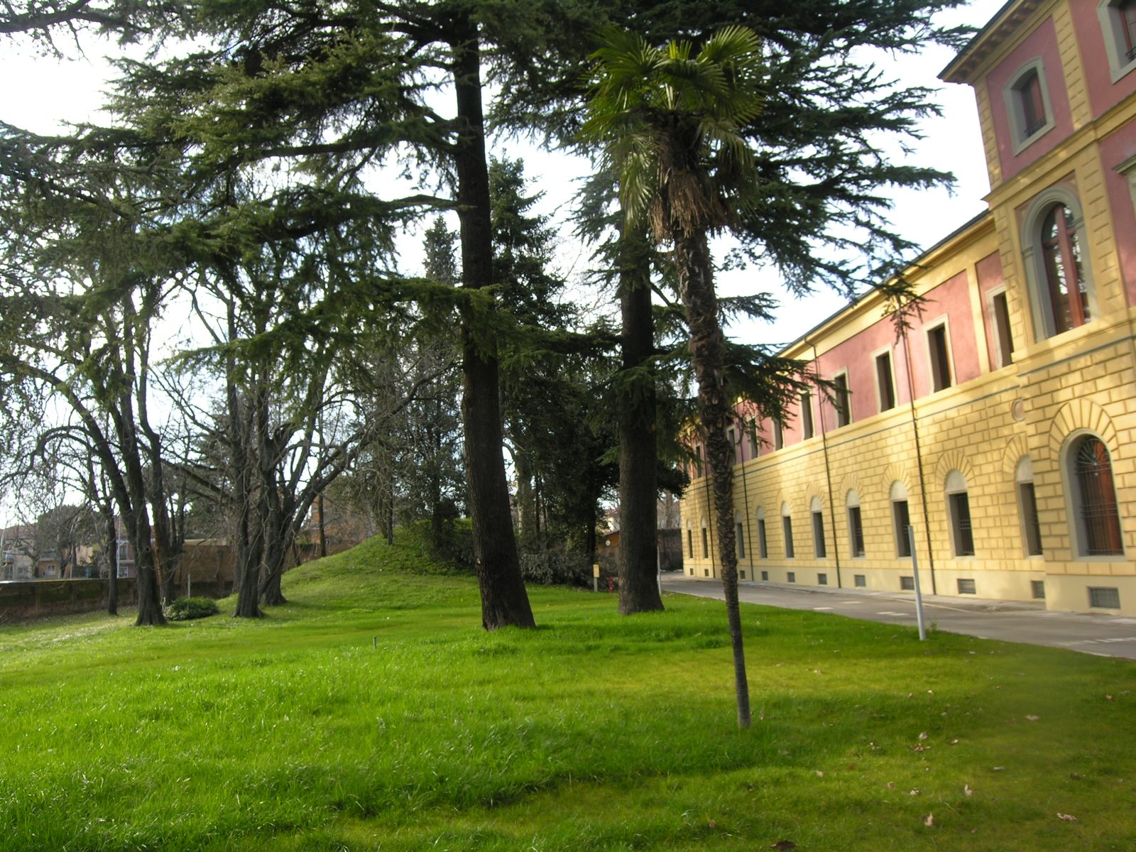 PD ex ospedale psichiatrico IMOLA